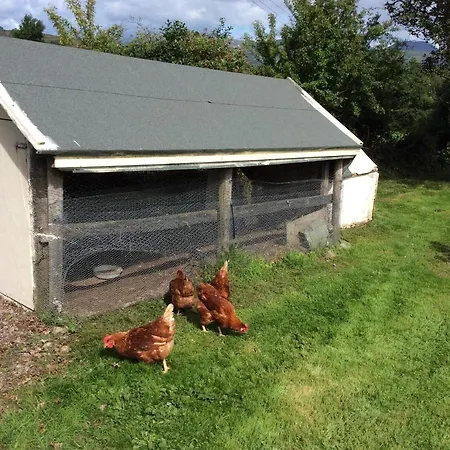 Oda ve Kahvaltı White Heather Kenmare