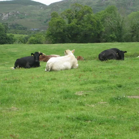 White Heather Farmhouse