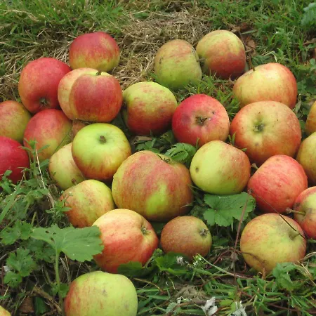 Bed & Breakfast White Heather Farmhouse 3*