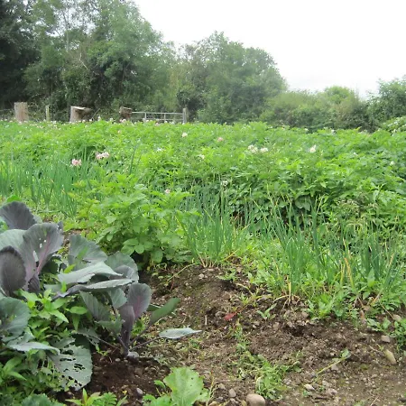 White Heather Farmhouse Bed & Breakfast Kenmare