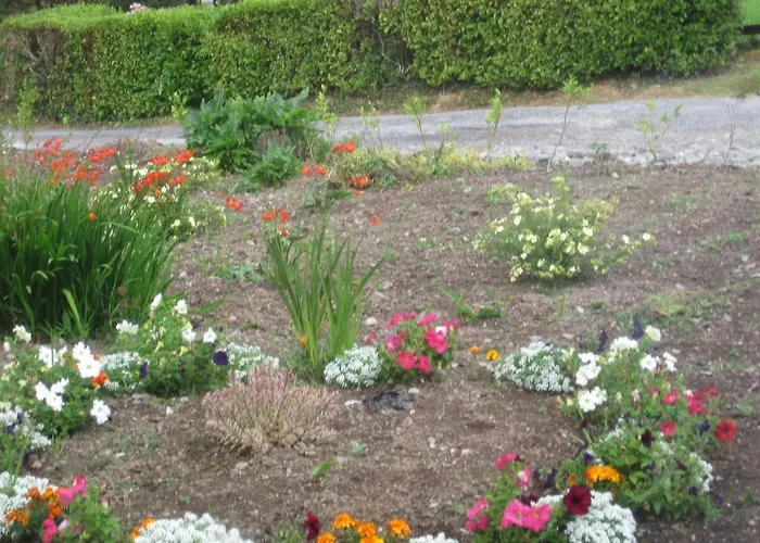 White Heather Bed & Breakfast Kenmare