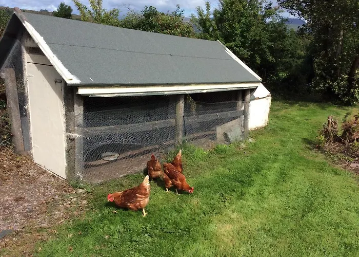 Bed & Breakfast White Heather Kenmare