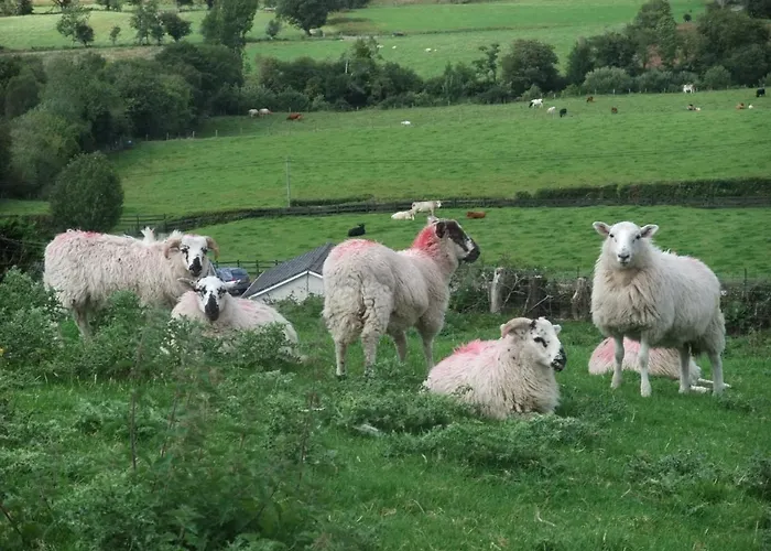 White Heather 3* Kenmare